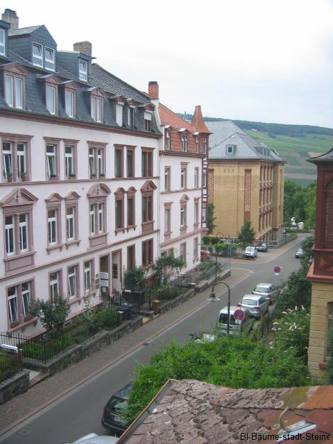 Vorgärten und Rheingau-Blick