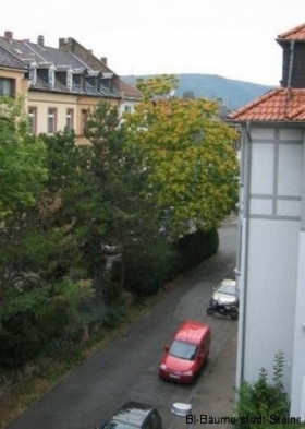 Grüne Nachbarschaft im Sommer